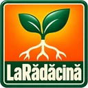 La Rădăcină