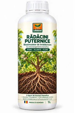 Rădăcini Puternice — biostimulator, 1 L